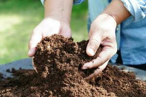 musgo de turfa, solo fertilizante para agricultura orgânica, cultivo de plantas, conceito de ecologia. foto