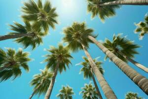 tropical Palma árvores visualizar. gerar ai foto