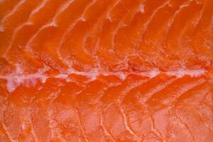 fresco cru salmão vermelho peixe filé com sal e especiarias foto