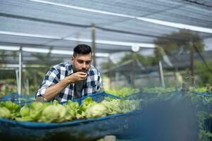 uma trabalhador em uma vegetal Fazenda examina solo condições e colheita crescimento para determinar a melhor tipo e montante do colheita para plantar. uma pequeno o negócio os Proprietários diariamente planejamento e organizando rotina foto