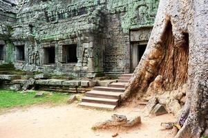 templo ta prohm em siem reap, camboja