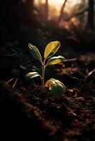 uma jovem plantar crescendo dentro luz solar. ai generativo foto