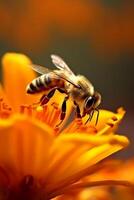 abelha sentado Próximo para amarelo flor e derrubar. ai generativo foto