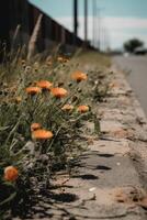 alguns flores este estão forrado acima em a lado do uma estrada. ai generativo foto