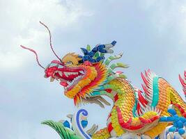 Dragão estátua, Dragão símbolo, Dragão chinês, é uma lindo tailandês e chinês arquitetura do santuário, têmpora. uma símbolo do Boa sorte e prosperidade durante a chinês Novo ano celebrações. foto