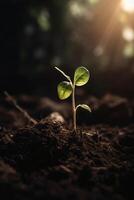 uma jovem plantar crescendo dentro luz solar. ai generativo foto