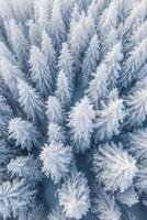 a aéreo tiro do muitos árvores coberto dentro neve. ai generativo foto