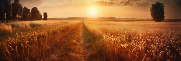 lindo colorida natural panorâmico panorama com uma campo do maduro trigo dentro a raios do configuração Sol. natural pôr do sol dentro dourado e Rosa cores. ai generativo foto