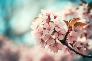 cereja Flor Primavera azul céu fundo. ai generativo foto