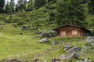 cabana de montanha e floresta foto