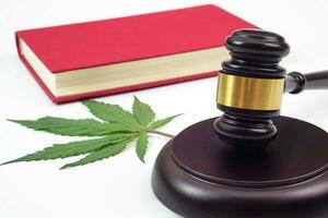 foco do juiz martelo, borrado cannabis folha ou maconha folha e livro colocada em a voltar. lei, judiciário conceito. foto