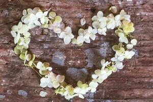 símbolo do coração feito de pétalas de flores de hortênsia branca sobre fundo de pranchas de madeira velhas com tinta de cor rachada foto
