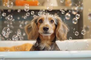 fofa cachorro levando banho com Sabonete bolhas. ai gerado foto