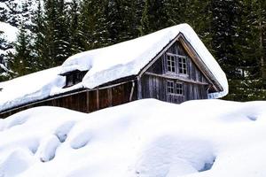 galpão de madeira com neve foto