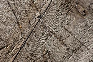 textura de madeira velha marrom foto