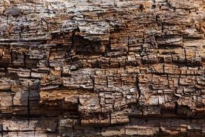 textura de madeira velha marrom foto