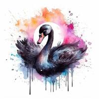 aguarela Preto cisne. ilustração ai generativo foto