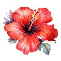 vermelho hibisco flor aquarela. ilustração ai generativo foto