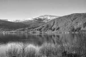 Nordfjord dentro Noruega dentro Preto e branco. Visão do montanhas coberto com neve. foto