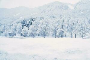 inverno panorama dentro Escandinávia. com neve coberto árvores em uma montanha. panorama foto