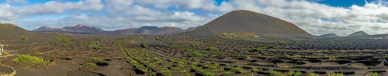 panorâmico Visão sobre estéril vulcânico timanfaya nacional parque em Lanzarote com videiras foto