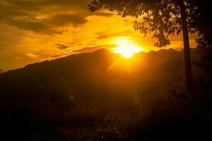 silhueta do uma árvore às crepúsculo com montanha foto