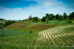 lindo Primavera paisagens dentro costigliole d'asti, dentro a piemontês Langhe do a asti área, dentro a Primavera do 2023 foto