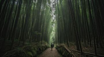 a traseiro do uma jovem pessoa caminhando através uma bambu floresta. generativo ai. foto