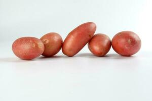 vermelho cor pequeno bebê batata em branco fundo foto