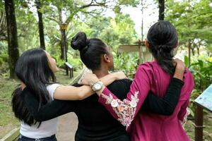 três mulher malaio chinês indiano ásia ao ar livre verde parque andar conversa misturar-se feliz alegria a partir de atrás Veja acima foto