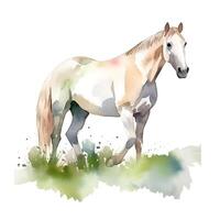 generativo ai contente, aguarela branco cavalo dentro verde Relva em uma branco fundo. cavalo ilustração. branco fundo, isolado objeto. foto