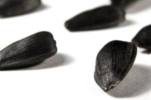 sementes de girassol em macro em fundo branco foto