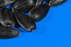 sementes de girassol em macro em fundo azul foto