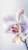 impressionante macro tiros do água gotas orquídea flor. generativo ai. foto