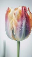 deslumbrante macro tiros do multi natural cor tulipa flor ramo. generativo ai. foto