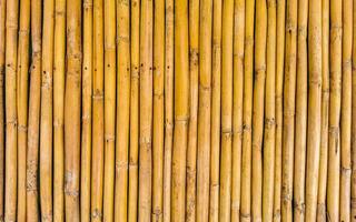 bambu madeira parede e portão textura dentro porto escondido México. foto