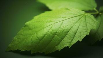 meio Ambiente terra dia dentro natural verde folhas e plantas usava Como Primavera fundo cobrir página vegetação meio Ambiente ecologia papel de parede, conceito eco terra dia. salvando a ambiente, gerar ai foto