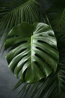 tropical Palma monstera folhas isolado em cinzento mesa fundo. , gerar ai foto