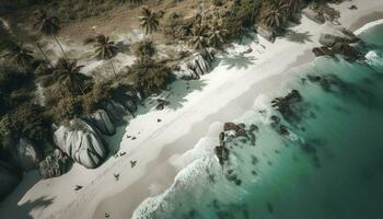 bandeira tamanho. Visão a partir de acima, deslumbrante aéreo Visão do Palmeiras em a arenoso de praia. tropical paisagem, azul água, ondas, gerar ai foto