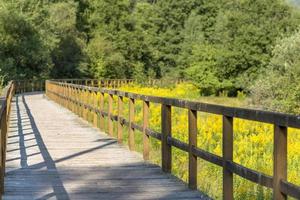 ponte de madeira sobre um campo com prados e colinas arborizadas