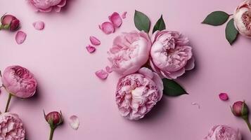 8 de março conceito. topo Visão foto do Rosa peônia rosas e granulados em isolado pastel Rosa fundo com em branco espaço, gerar ai