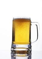 dias internacionais da cerveja com copo de abelha no fundo branco foto