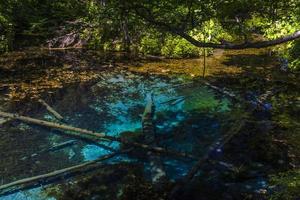 kami no ko ike pond em hokkaido no verão foto