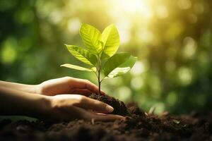 uma criança segurando uma plantar dentro seus mãos com uma verde fundo e luz solar brilhando através a folhas em a plantar, gerar ai foto