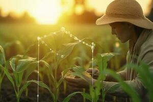 agrícola tecnologias para crescendo plantas e científico pesquisa dentro a campo do biologia e química do natureza. vivo verde brotar dentro a mãos do uma agricultor, gerar ai foto