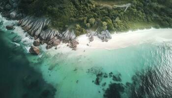 bandeira tamanho. Visão a partir de acima, deslumbrante aéreo Visão do Palmeiras em a arenoso de praia. tropical paisagem, azul água, ondas, gerar ai foto