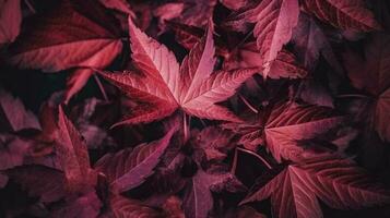 artístico colorida carvalho outono estação folhas fundo, gerar ai foto