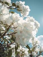 Primavera a cereja flores. vintage, com azul céu fundo, gerar ai foto
