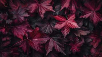 colorida sazonal outono fundo padrão, vibrante tapete do caído floresta folhas, gerar ai foto