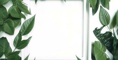 verde plantar e folhas quadro, Armação isolado em branco fundo, para Casamento convites e cumprimento cartões, gerar ai foto